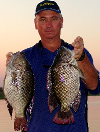 Threespot Bream Threespot Bream