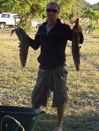 Barbel Barbel