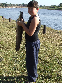 Barbel Barbel