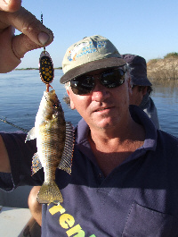 Pink Happy (Bream) Pink Happy (Bream)