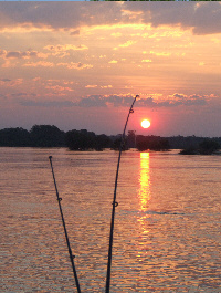 Sunset Sunset