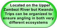    Located on the Upper Zambezi River but Kwando Trips can be organized to ensure angling in both very different ecosystems