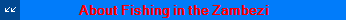 About Fishing