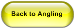 Back to Angling